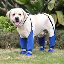 Dog Suspender Boots