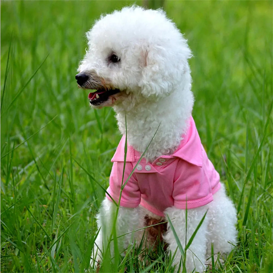 Dog Vest T-Shirt | Lightweight Pet Polo for Small Breeds | Hotdiggidydog®