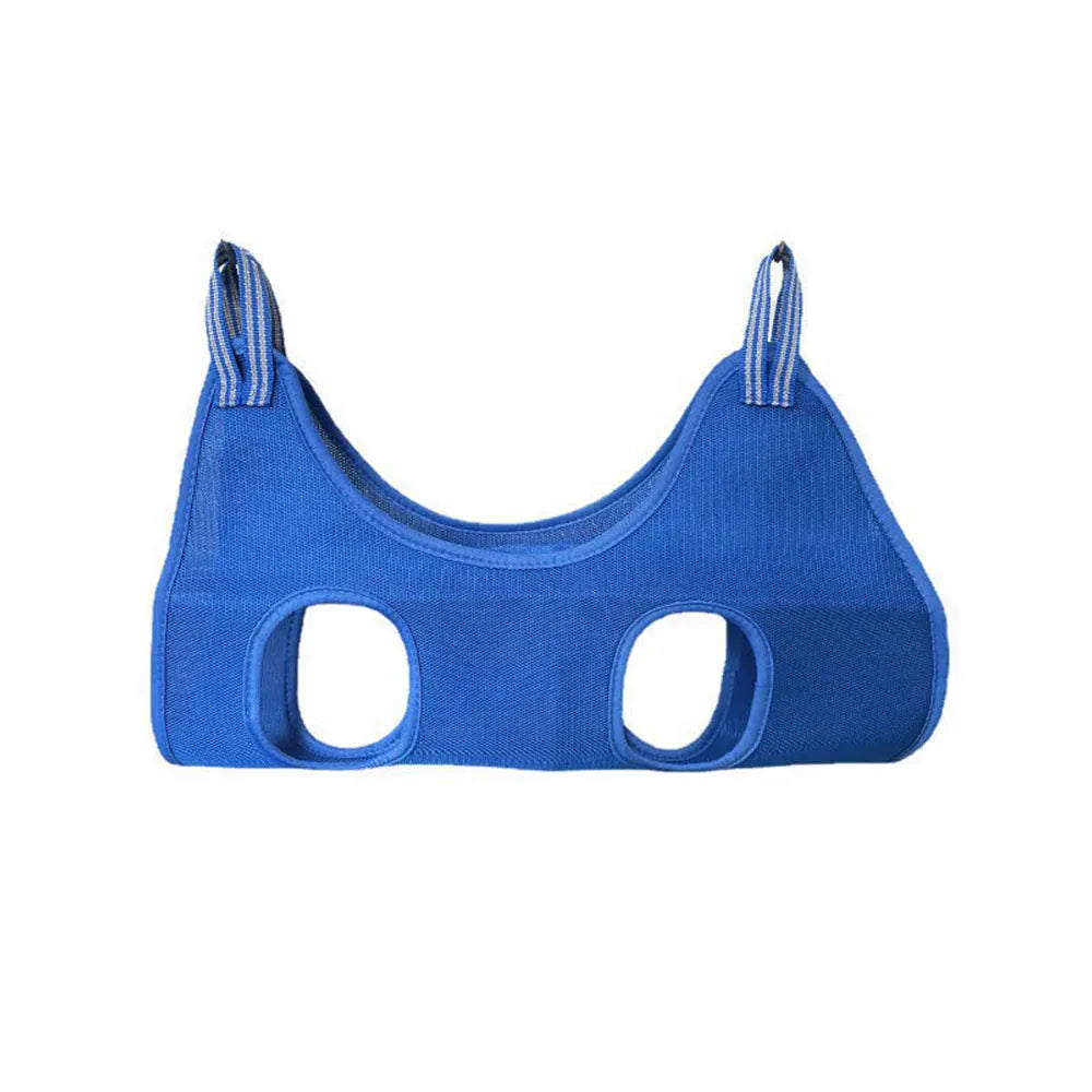 Blue dog muzzle on a white background