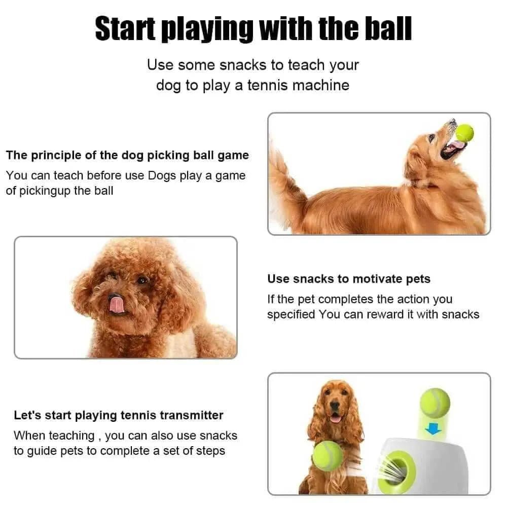 Automatic Dog Toy Balls Launcher