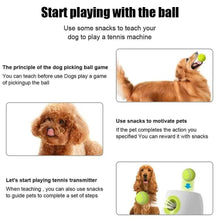 Automatic Dog Toy Balls Launcher