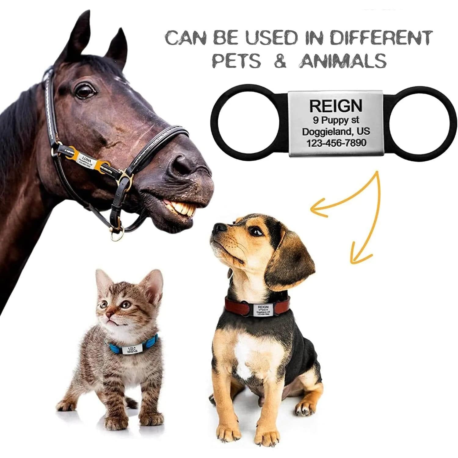 Personalized Dog Tags