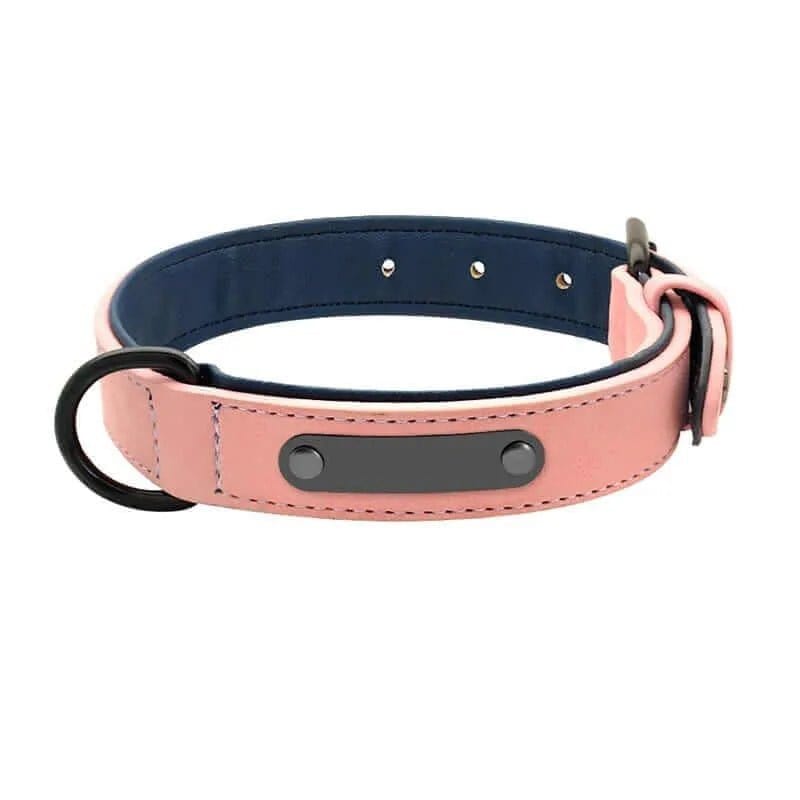 Pink and navy blue leather dog collar with a black metal D-ring and blank nameplate.