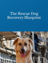 The Rescue Dog Recovery Blueprint