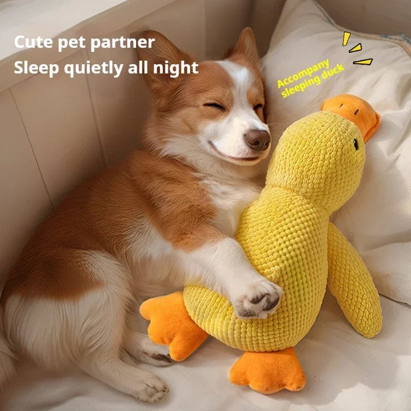 A dog sitting next to a plush toy shaped like a duck.