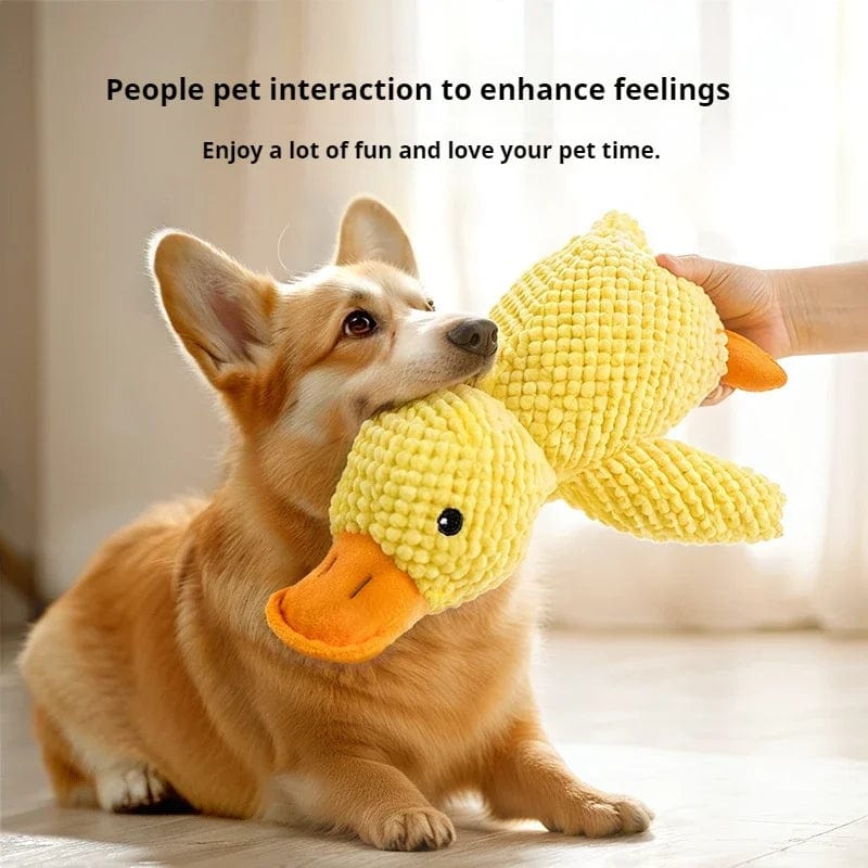 Duck Dog Toy