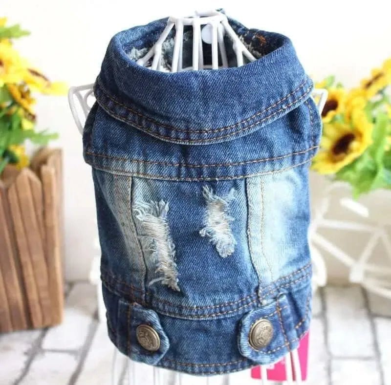 Blue distressed denim dog jacket with two metal buttons and frayed details on a white wire mannequin.
