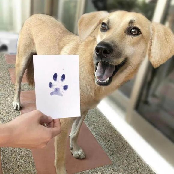 Magic Paw Print Pad™ (Paw Printer)