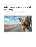 What to pack for a trip with your dog