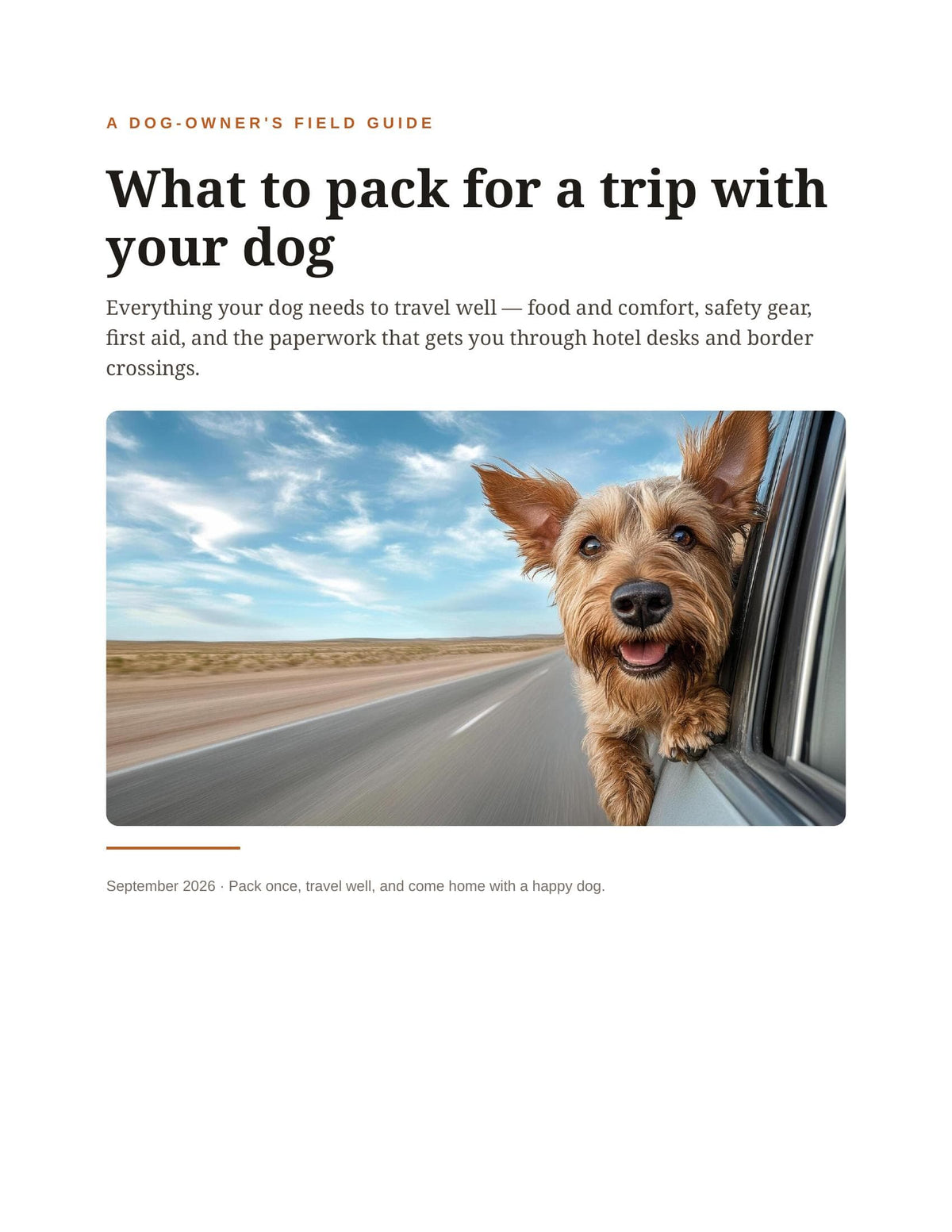 What to pack for a trip with your dog