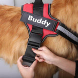 PETSUNNY™ NO PULL Dog Harness (The Ralph)