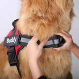 PETSUNNY™ NO PULL Dog Harness (The Ralph)