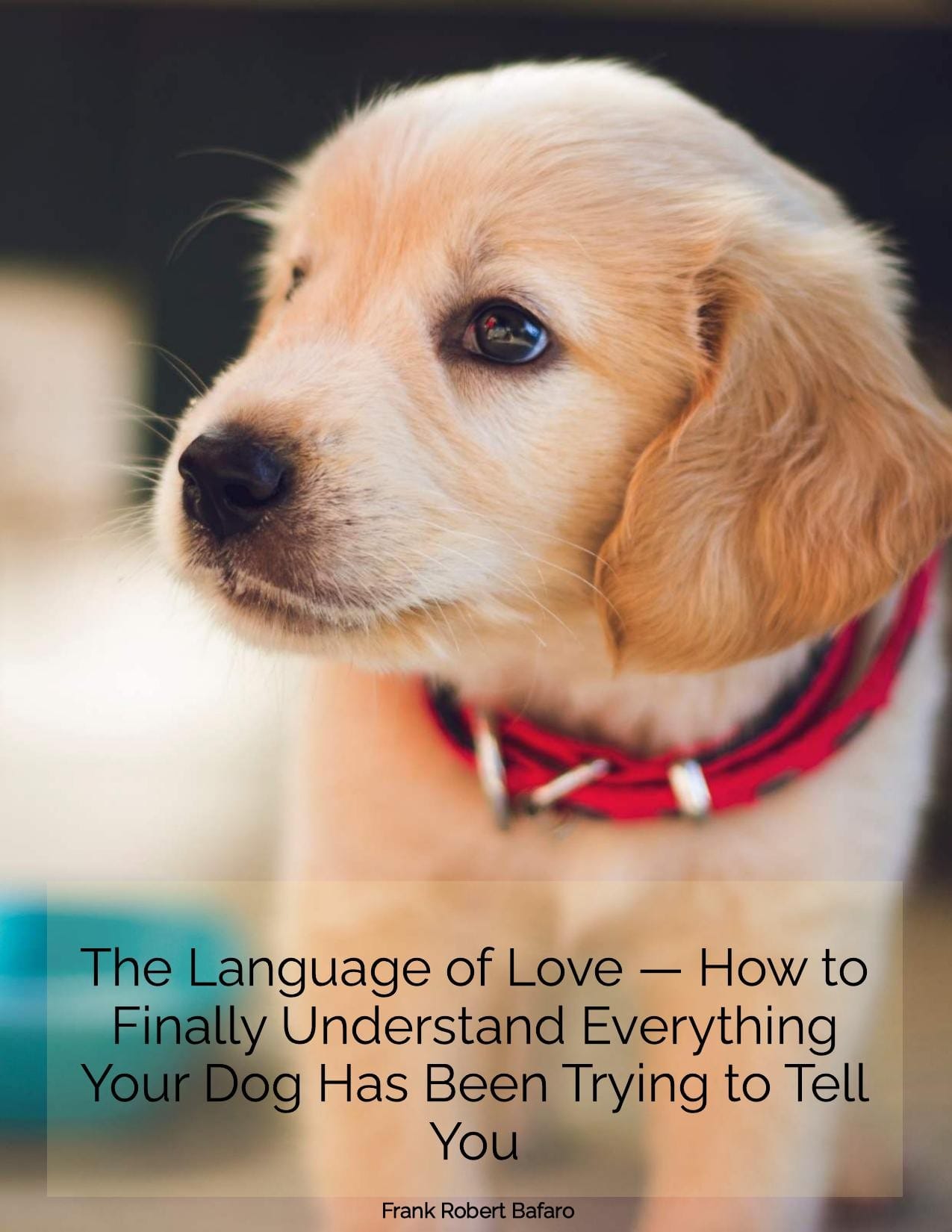 Puppy with a red collar looking to the side, with text overlay about understanding dog language.