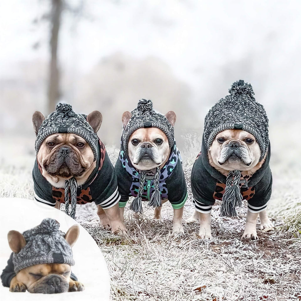 Knitted Dog Hat with Pom-Pom