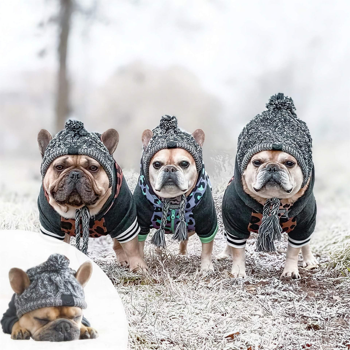Knitted Dog Hat with Pom-Pom