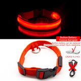 LED Safety Dog Collar ™️ (LED Sassifraz)