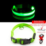 LED Safety Dog Collar ™️ (LED Sassifraz)