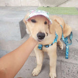 Dog Summer Sun Hat