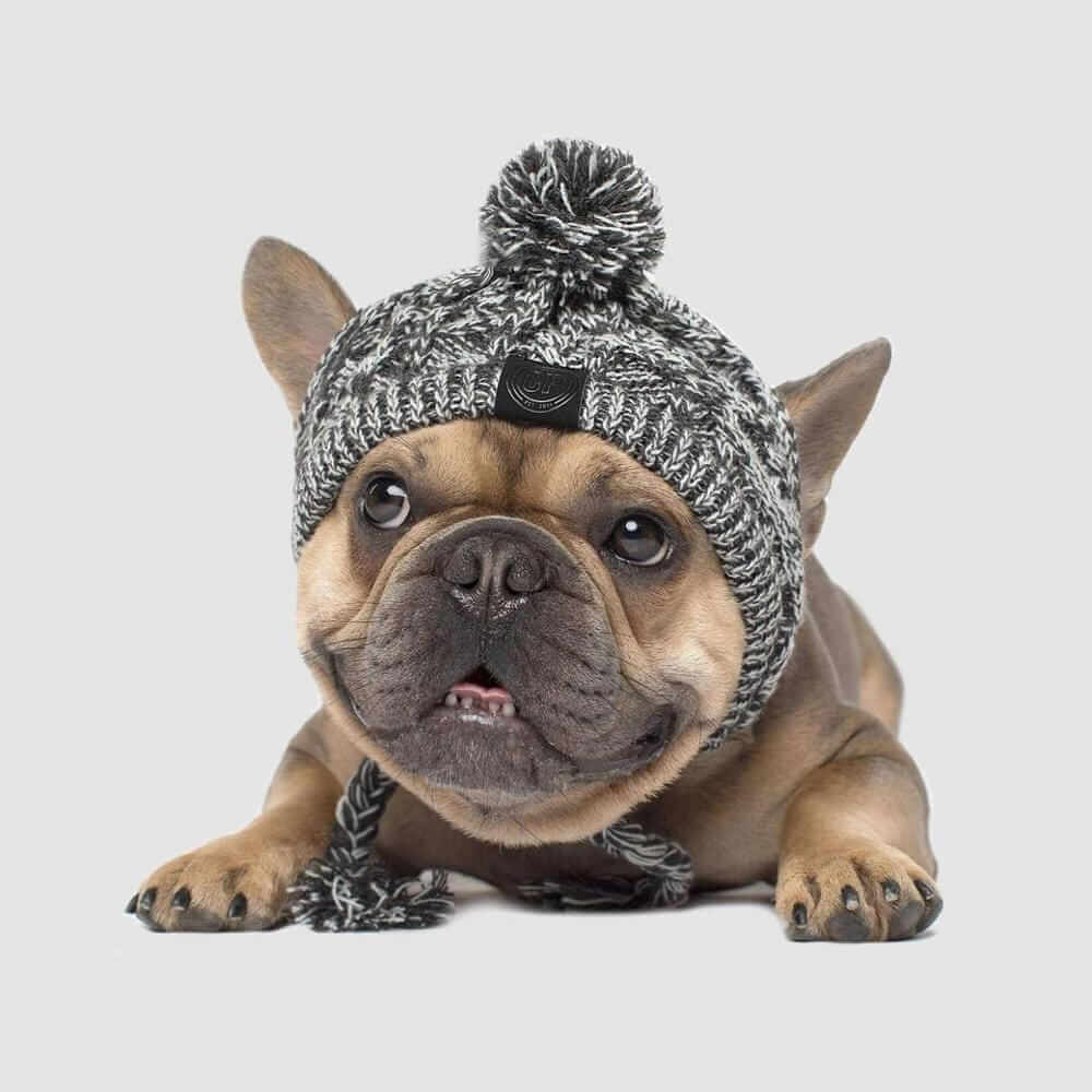 A tan dog wearing a grey and white marled knit hat with a pom-pom, braided chin straps, and a black GF Pet label.