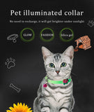 Glowing Dog Collar with Bells