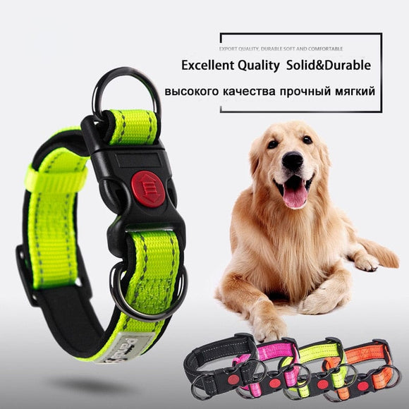 Reflective Dog Collar and Leash Set for Small Large Dogs