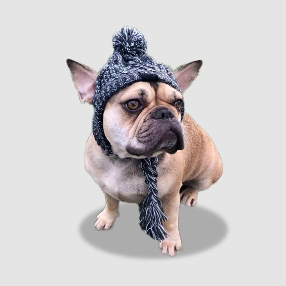 Small tan dog wearing a grey and white marled knit hat with a pom-pom and braided chin strap.