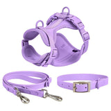 Four Seasons Puppy Collar and Harness Set