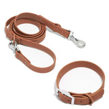 PVC Adjustable Dog Collar Harness Leash Sets