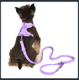 PVC Adjustable Dog Collar Harness Leash Sets