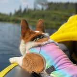Summer Dog Cooling Vest-Breathable Mesh Dog Clothes for Small Medium Large Dogs-Cooling Dog Vest Clothing