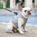 Cooling Dog Harness Vest