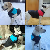 Warm Winter Padded Dog Jacket
