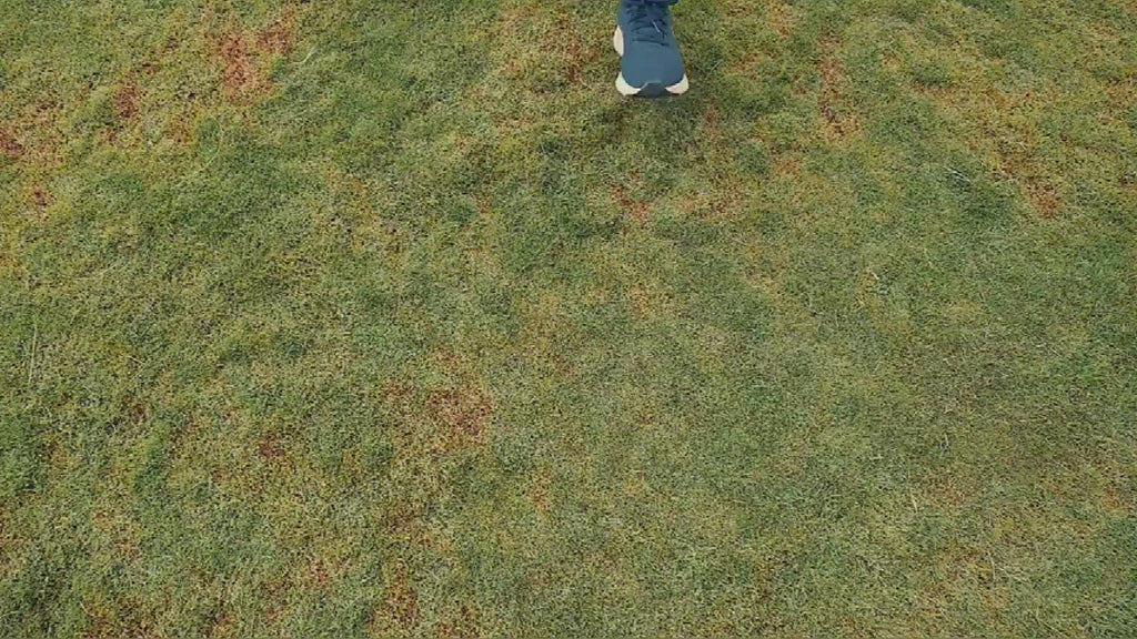 Dog Tent Bed