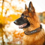 Personalized Vegan Leather Dog Collar